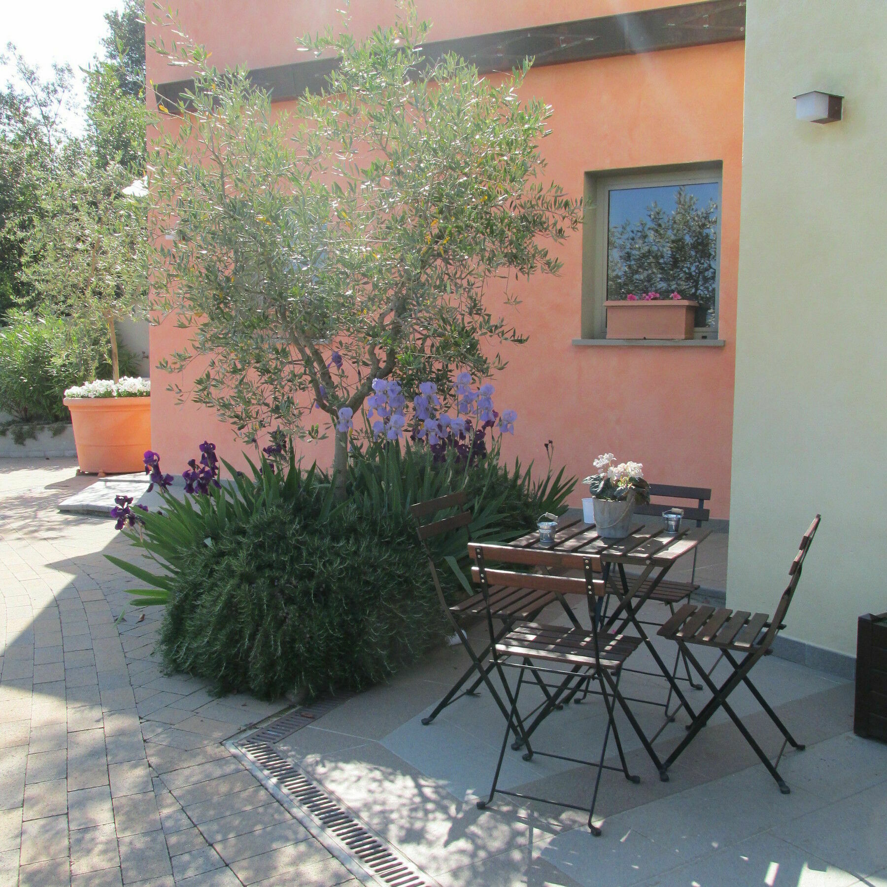 Residence Fiesole Exteriör bild